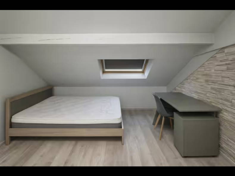 Kolokation Mulhouse 548007-5