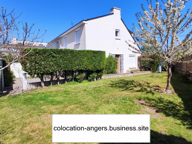 Colocación Angers 247353-1