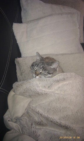 Chambre Chez L'habitant Audrix 44264