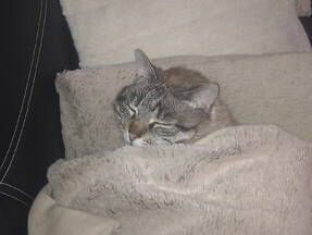 Homestay Audrix 44264-4