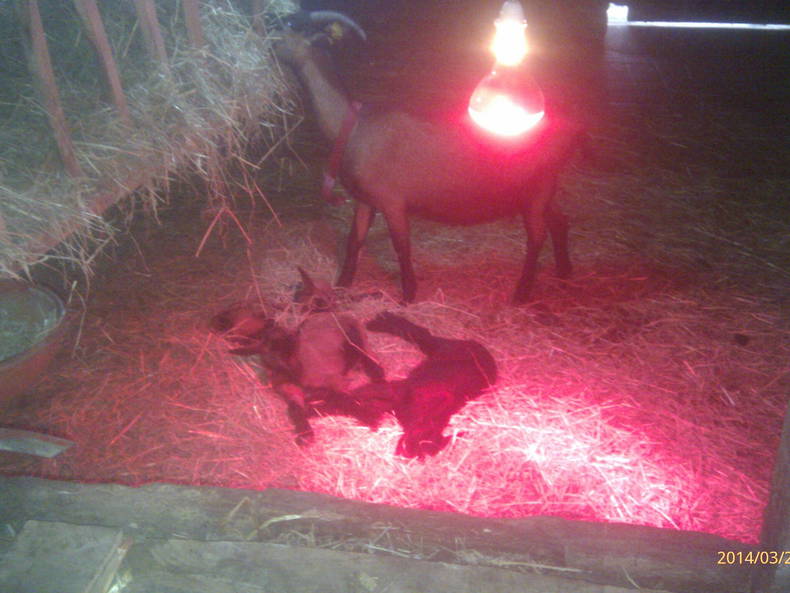 Homestay Audrix 44264-5