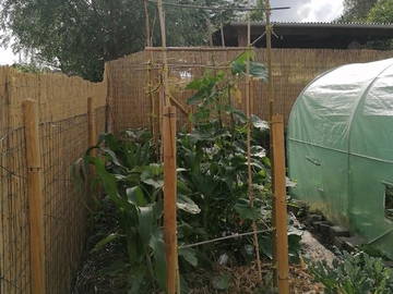 Chambre Chez L'habitant Liège 243851-5