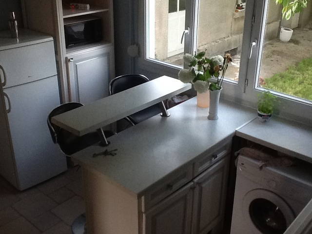 Kolokasie Clermont 53025-2