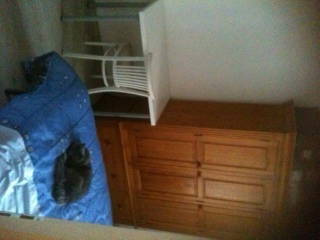 Chambre Chez L'habitant Choisy-le-Roi 84947-3