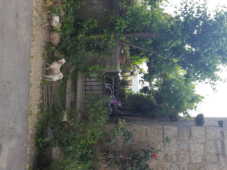 Homestay Fozzano 103889-3