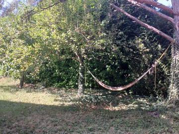 Homestay Lancy 419759-7