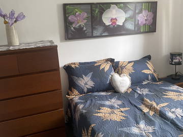Chambre Chez L'habitant Vaulx-En-Velin 599780