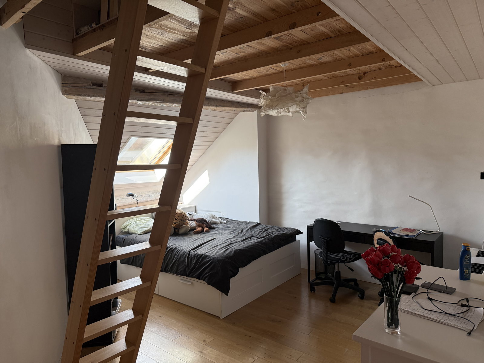 Chambre Chez L'habitant Eysins 669005