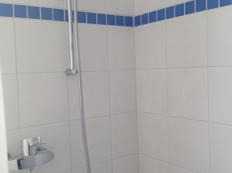 Kolokasie Echandens 105003-3