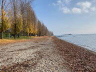 Homestay Préverenges 454624-5