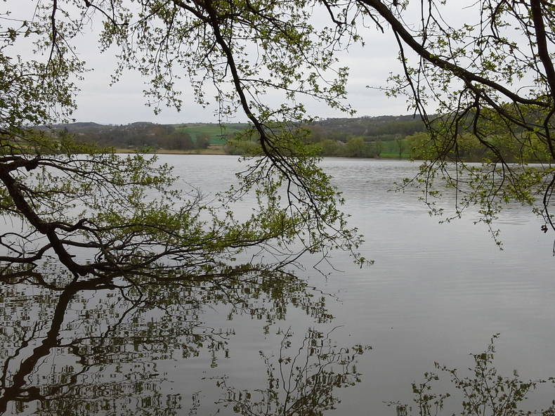 Entire Home Thodure 101249-5