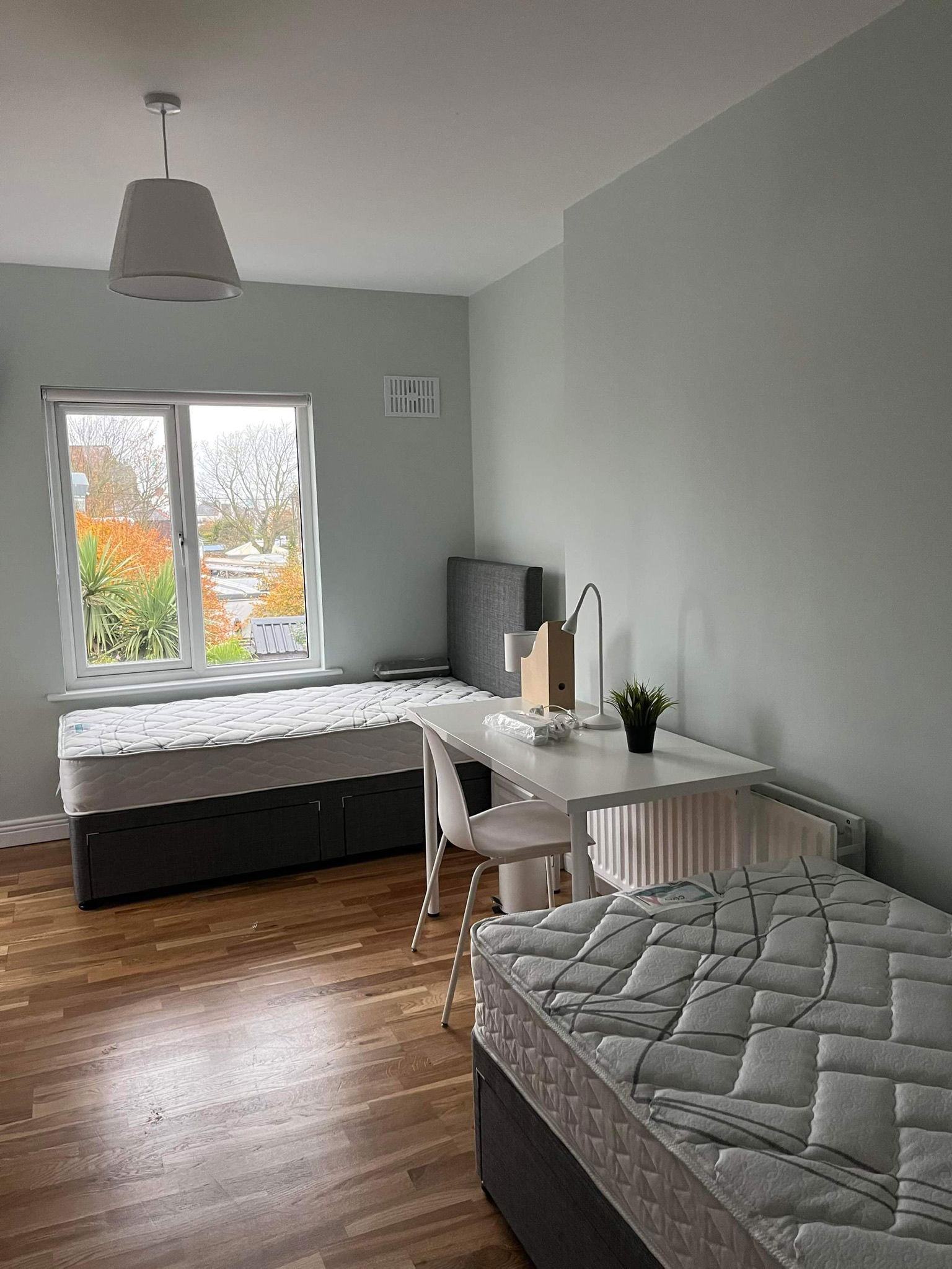 Chambre Chez L'habitant Dublin 3 377046
