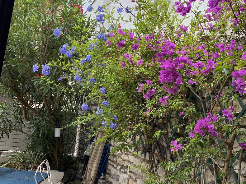 Homestay Biarritz 392580-5