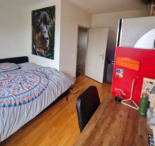 Chambre Chez L'habitant Onex 661493