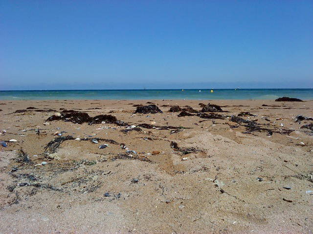 Bed And Breakfast Ouistreham 6977-3