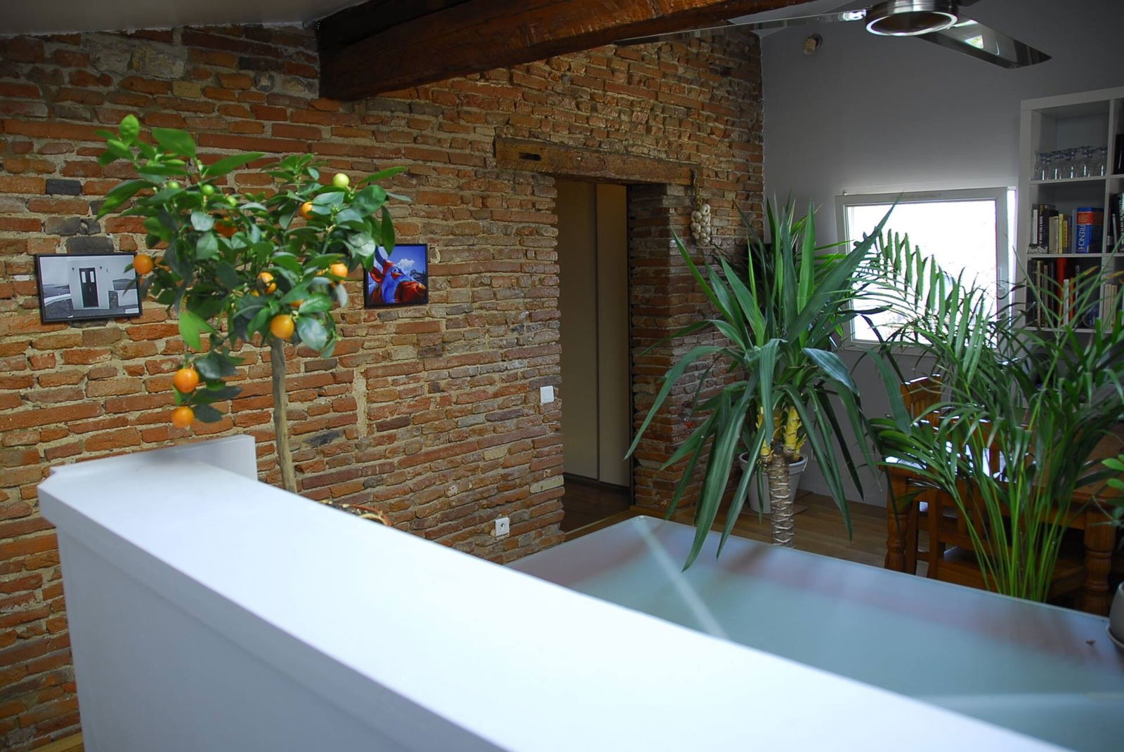 Chambre Chez L'habitant Toulouse 143050