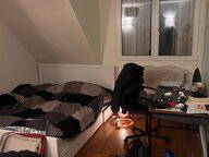 Colocation L'Haÿ-les-Roses 504317-1