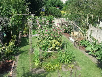 Chambre Chez L'habitant Namur 13501-10
