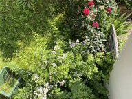 Colocation Arcueil 506526-5