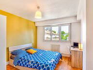 Kolokasie Pau 642208-1