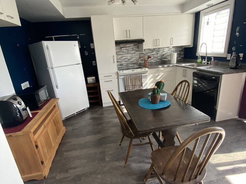 Kolokasie Longueuil 261462-4