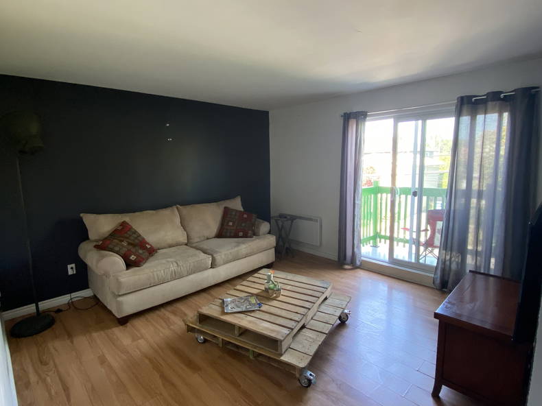 Kolokasie Longueuil 261462-5