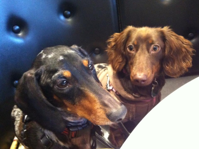 Homestay Montréal 73530-2