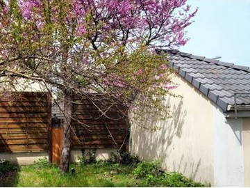 Colocation à louer à Saint-Ouen-L'aumône - photo 5 : autre pièce-5