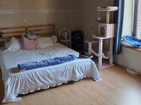 Se alquila habitación en casa de 400m²