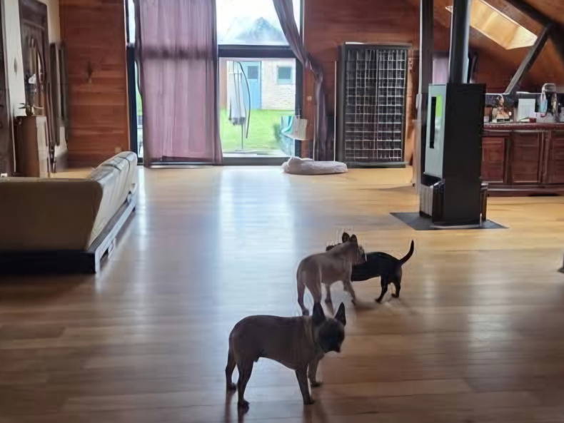 Kolokation Libramont-Chevigny 589258-4