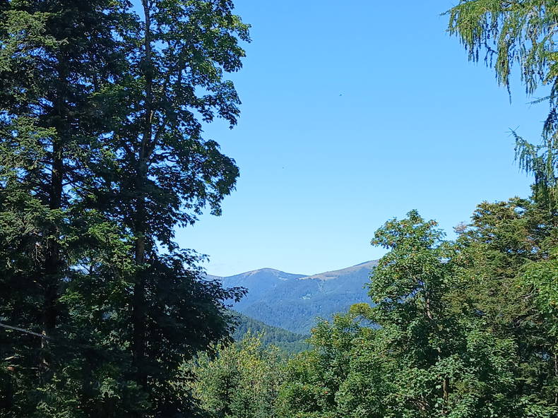 Gastfamilie Breitenbach-Haut-Rhin 473548-5