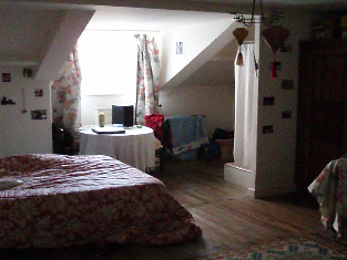 Colocación Gap 63291-3