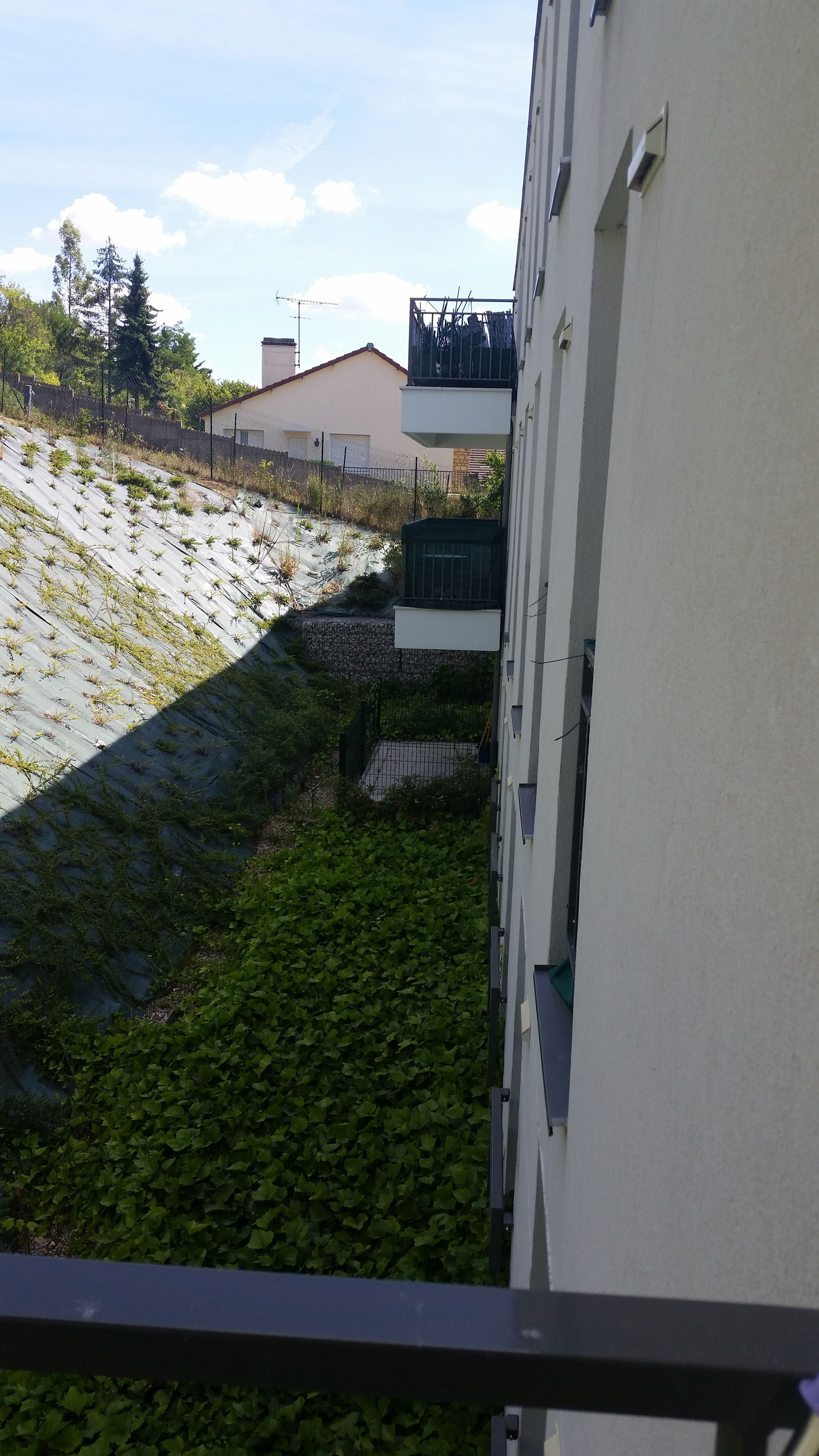 Colocation Mézy-sur-Seine 238995