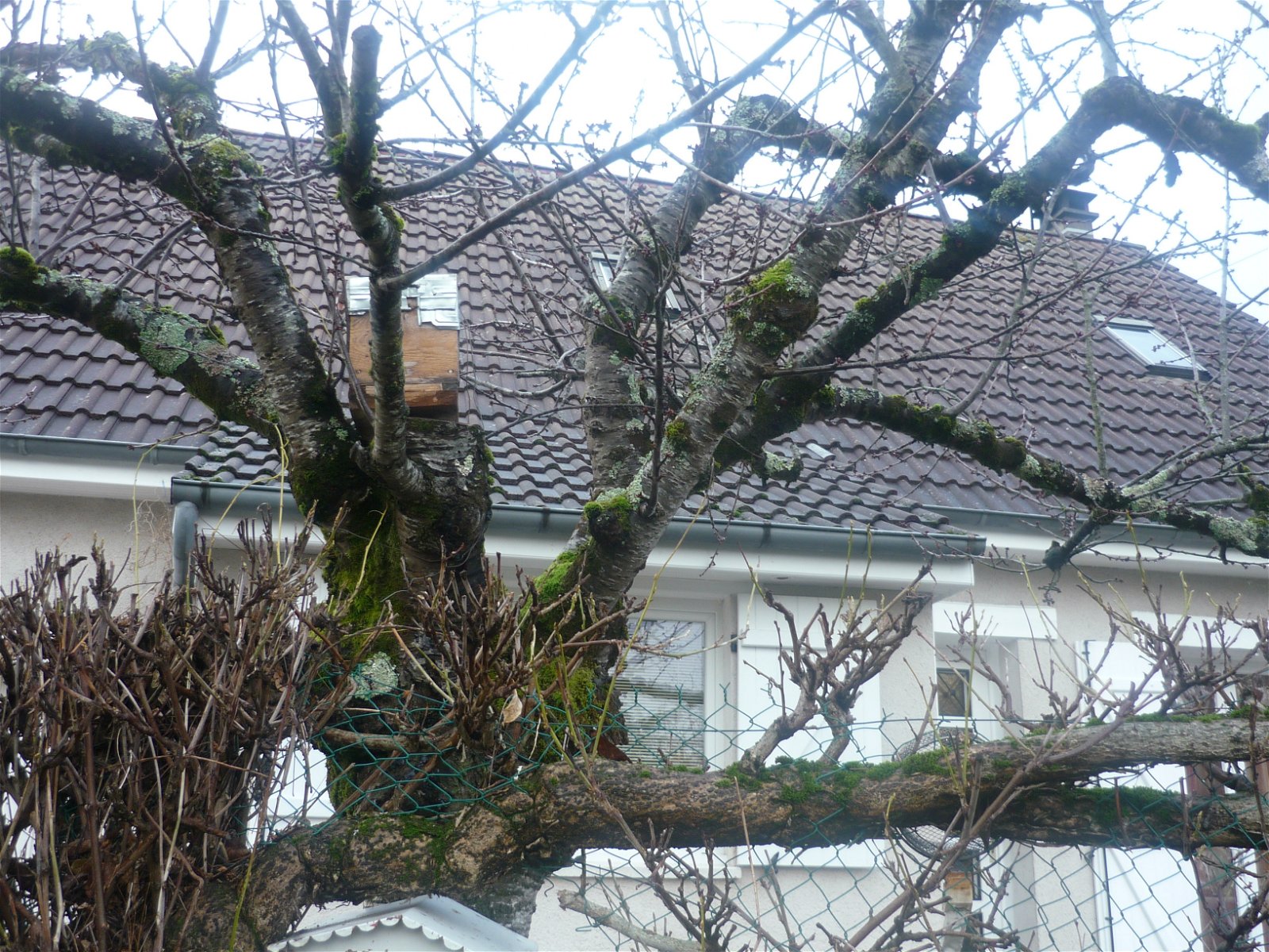Homestay Selles-sur-Cher 242376
