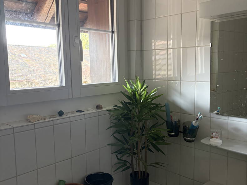 Homestay Tolochenaz 655443-3