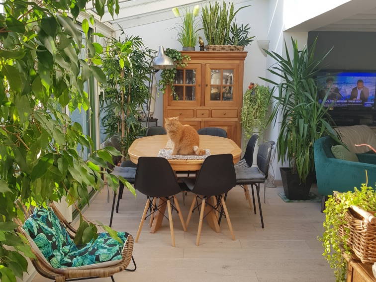 Gastfamilie Le Plessis-Robinson 430939-5