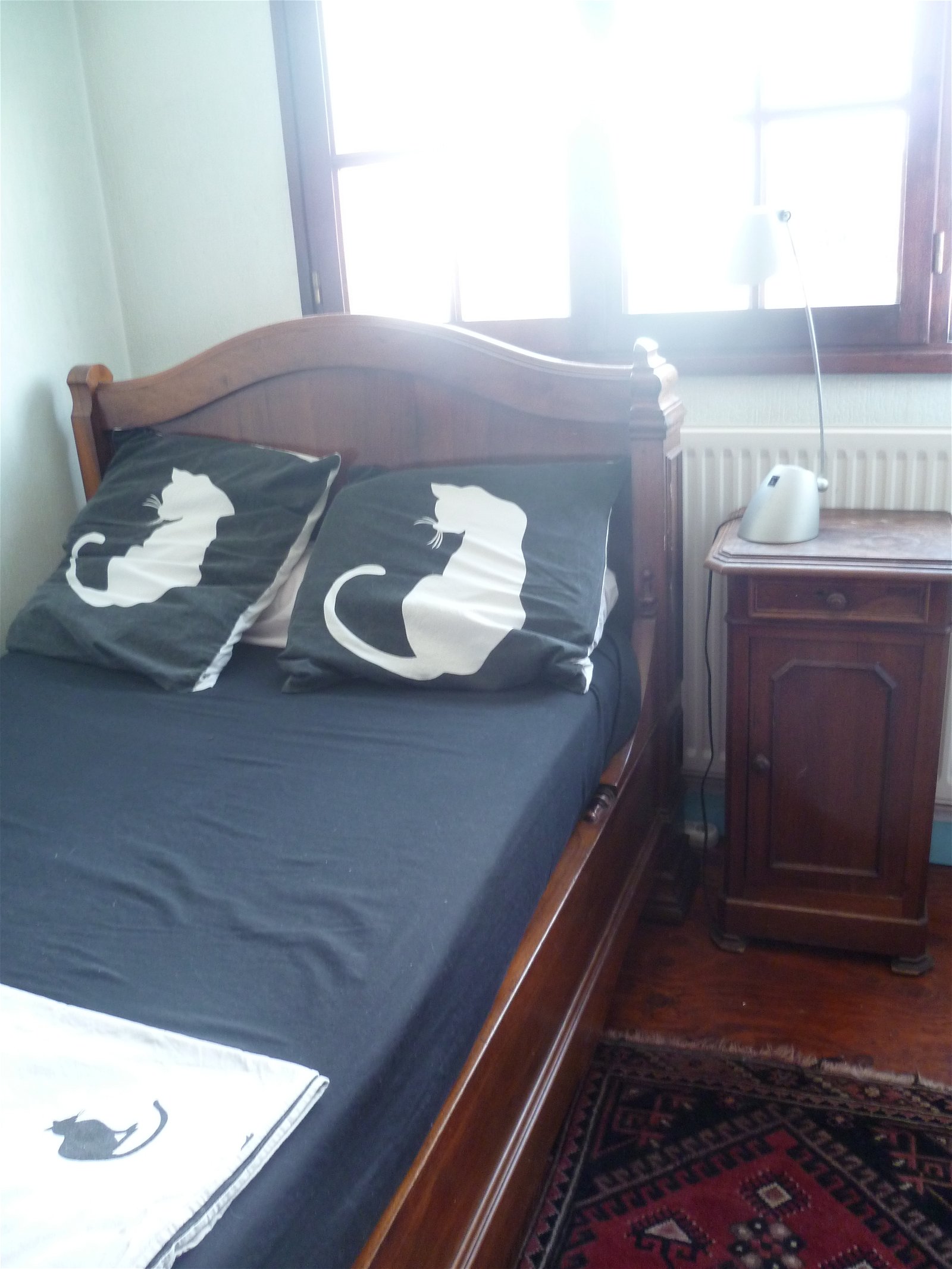 Chambre Chez L'habitant Meyzieu 12746