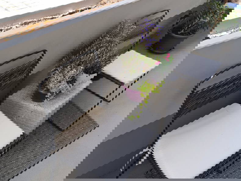 Chambre Chez L'habitant Genève 545833-1