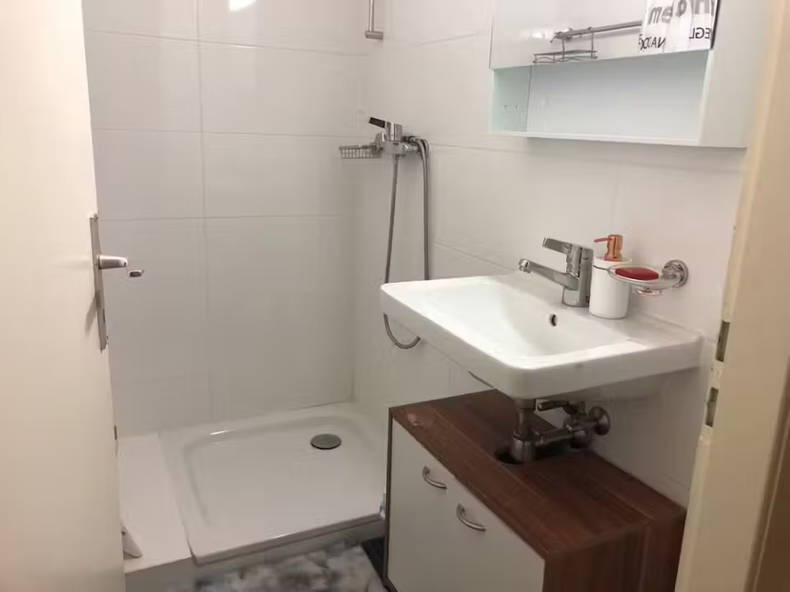 Chambre Chez L'habitant Genève 545833-3