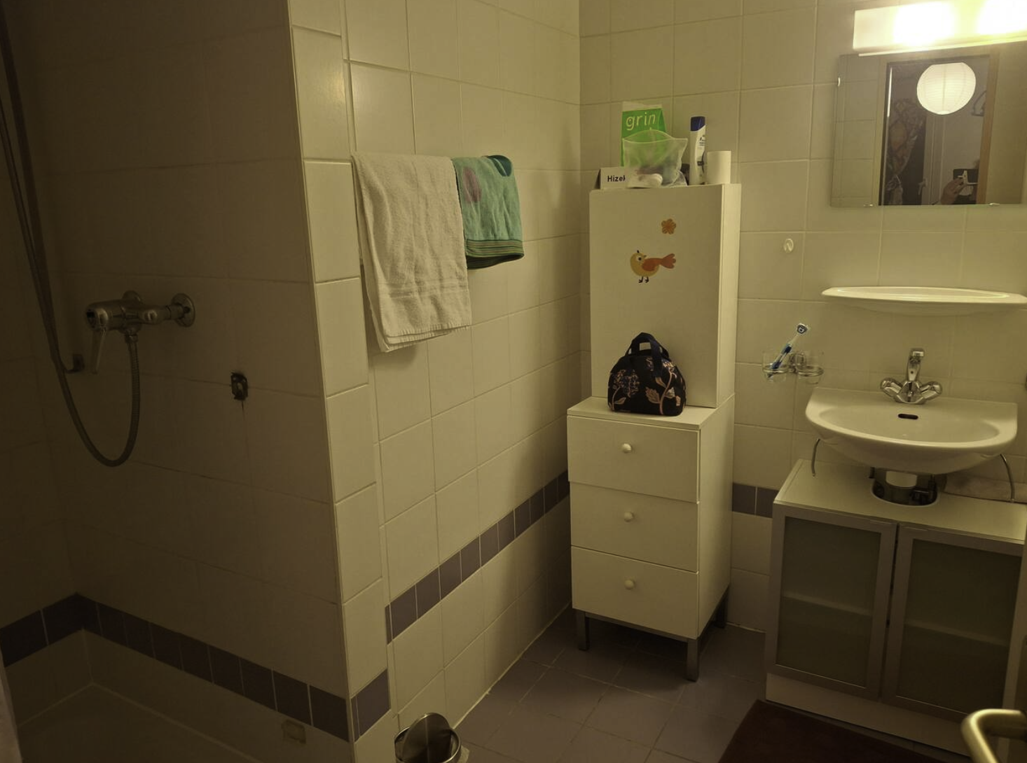 Chambre Chez L'habitant Genève 659199