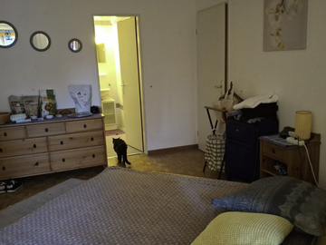 Chambre Chez L'habitant Genève 659199-5