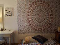 Chambre chez l'habitant à louer à Genève - photo 5 : chambre-5