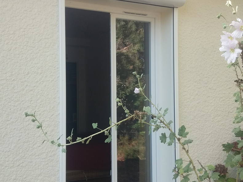 Gastfamilie Orvault 228522-5