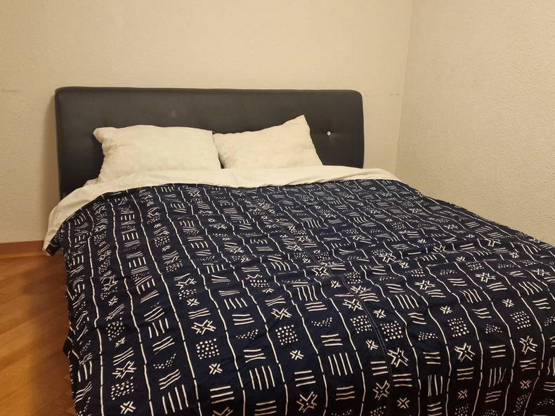 Coliving Lausanne 441667-1