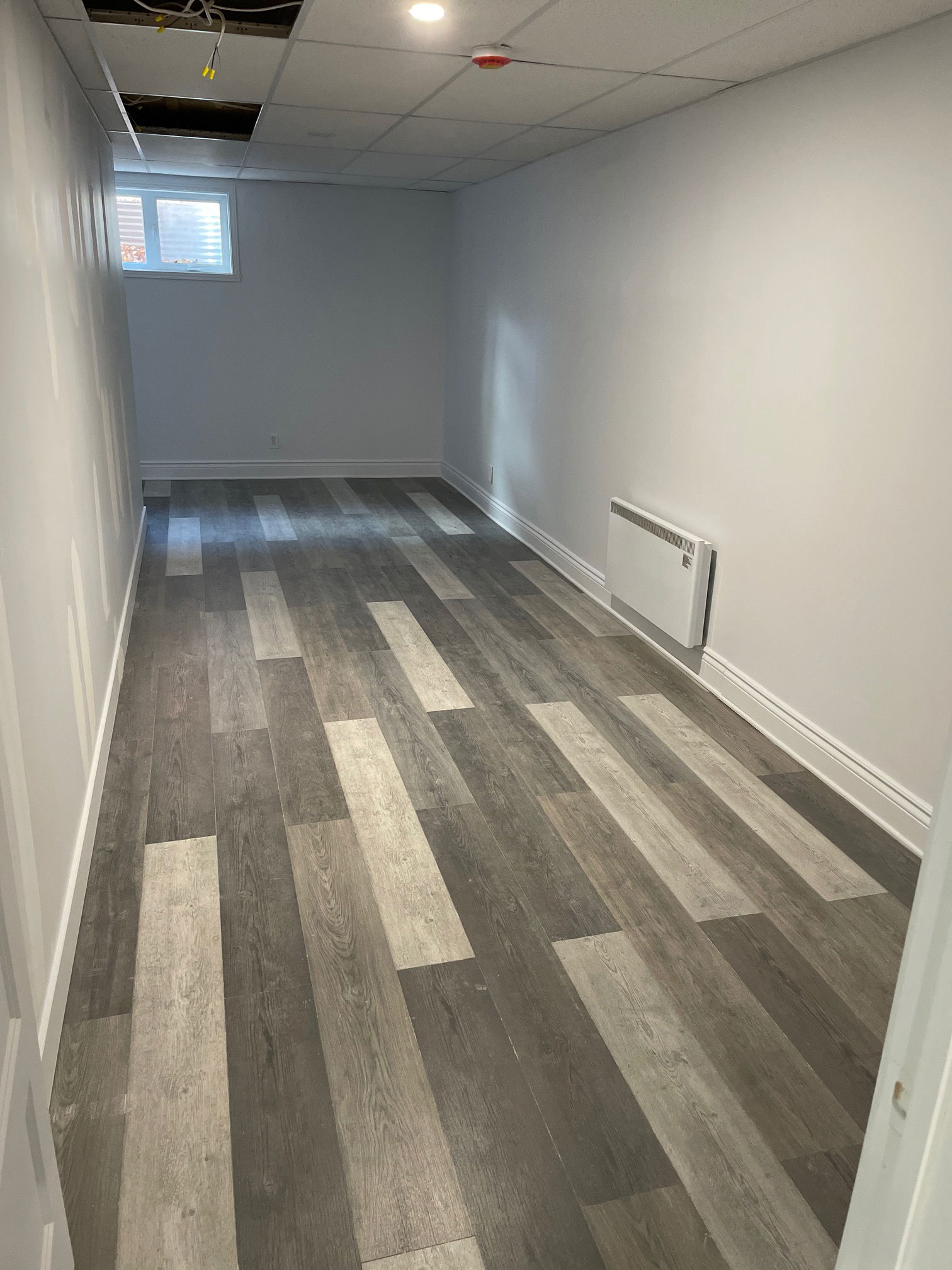 Coliving Levis 630671