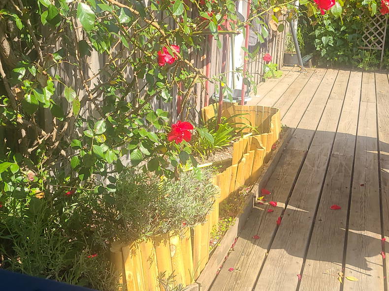 Gastfamilie Eysines 626791-4