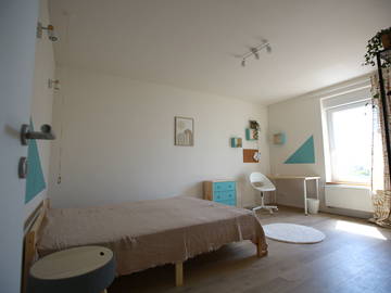 Colocation Charleroi 534405-1