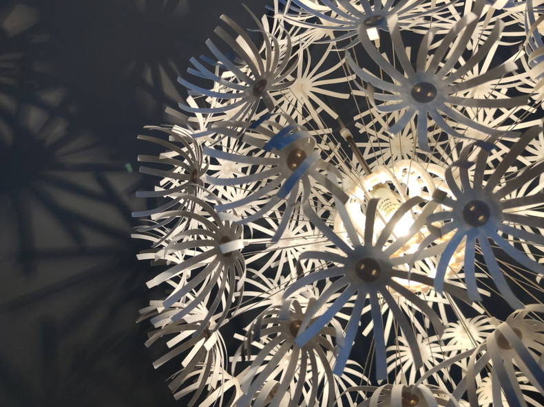 Gastgezin Montréal 234754-1