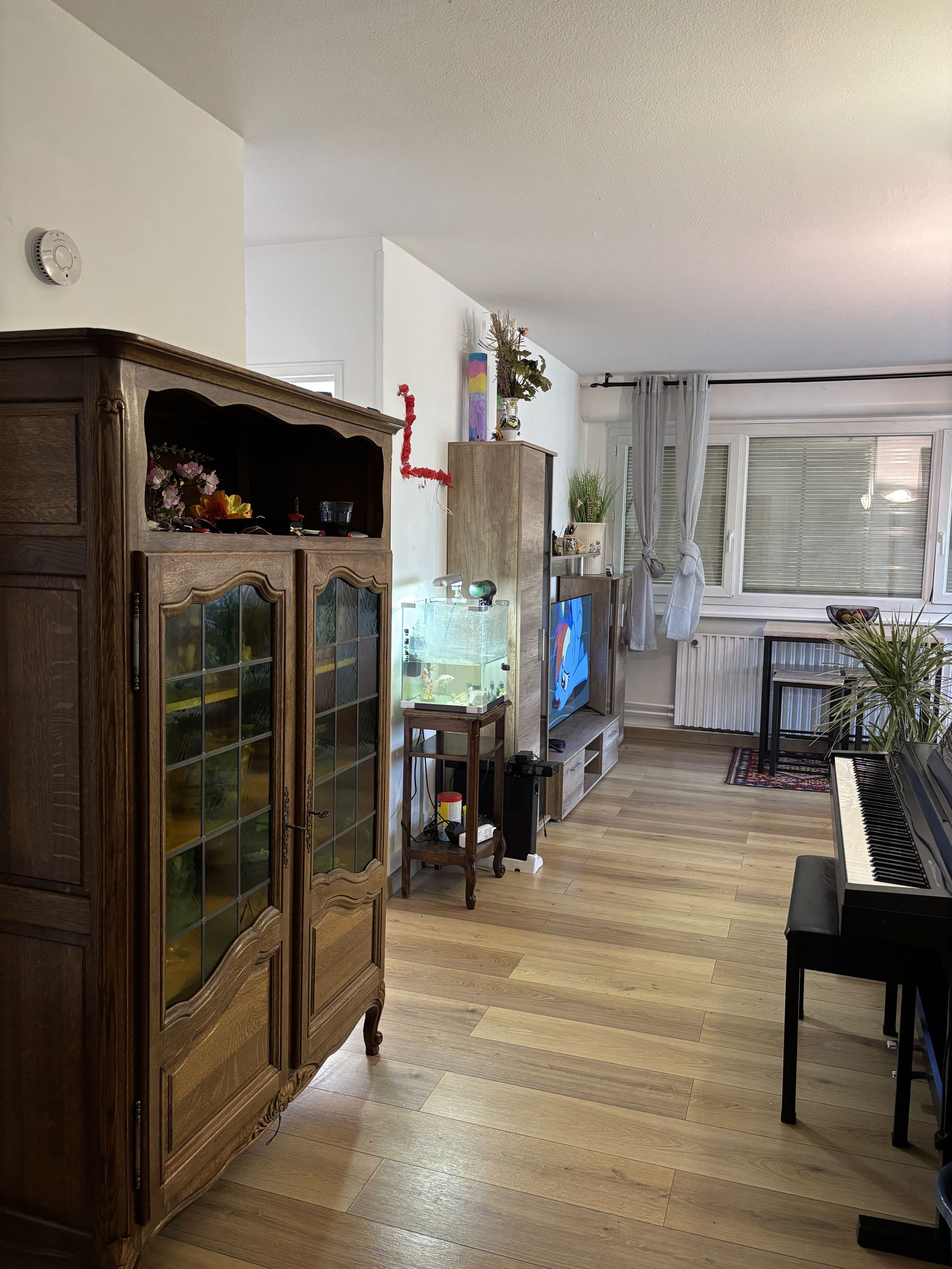 Colocation Ferney-Voltaire 627975