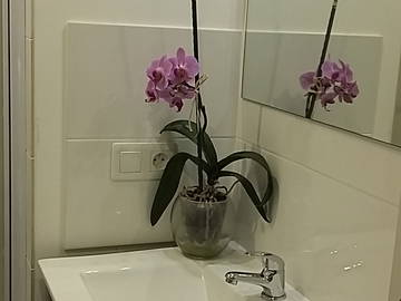 Homestay for rent in Saint-Hilaire-De-Riez - photo 14-14